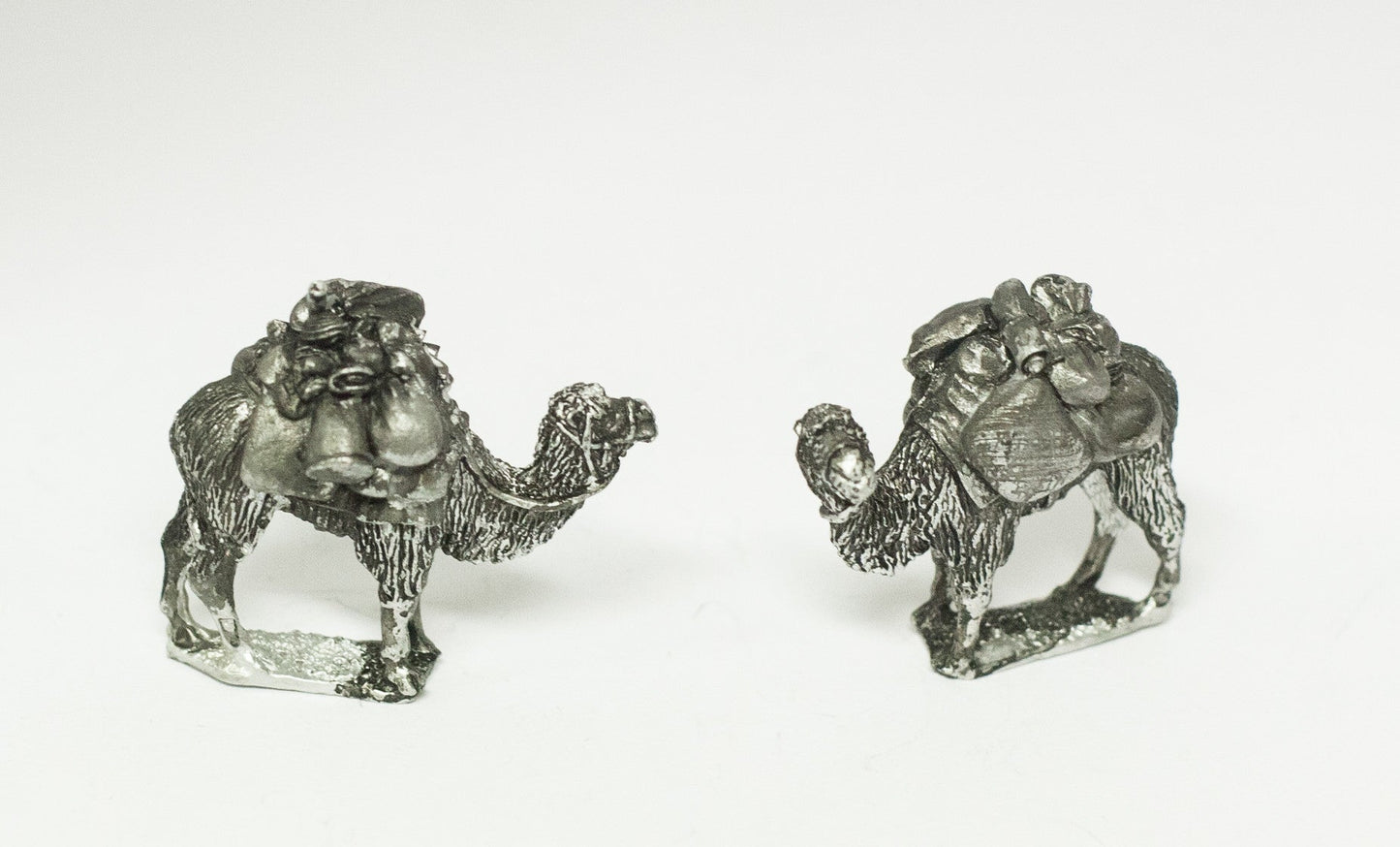 Bactrian Pack Camels XEQ8