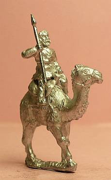Mid or Late Imperial Dromedarii (Light Camelry) RO43
