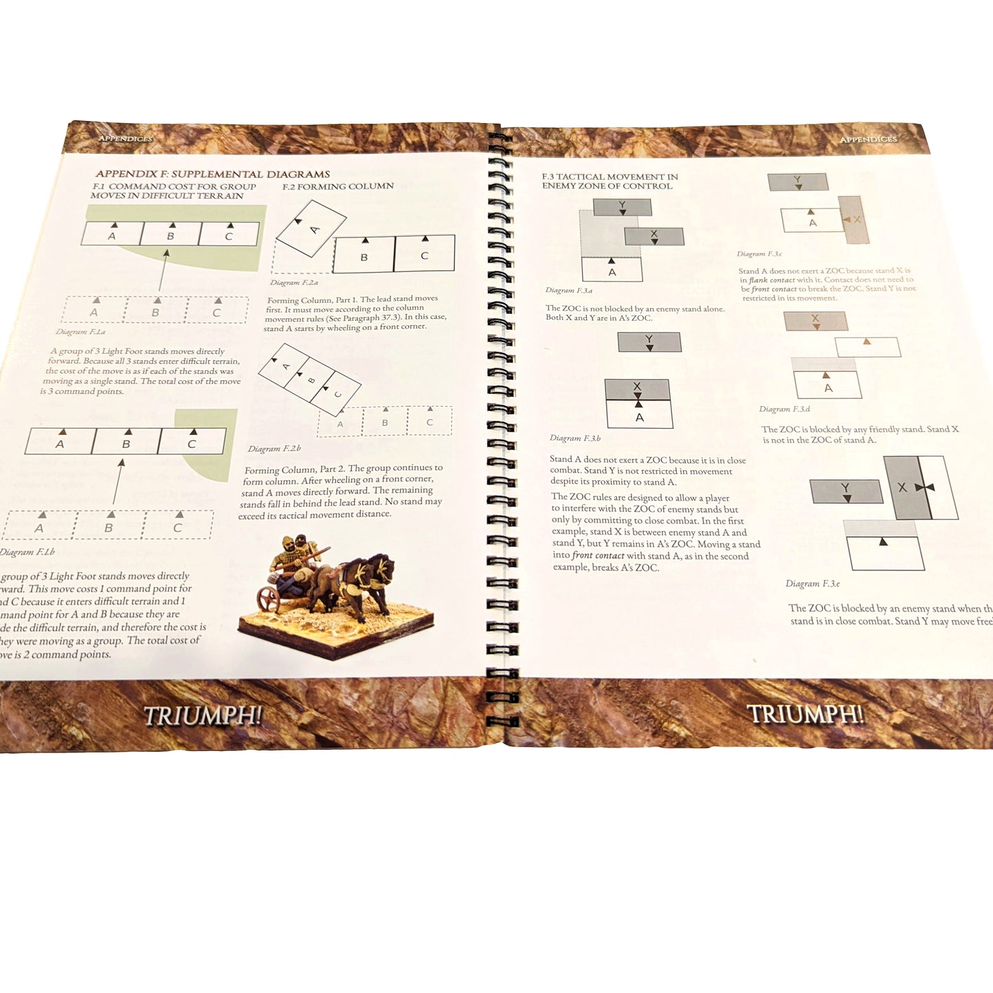 Triumph! Tabletop Wargame Rules - Downloadable Version 1.1