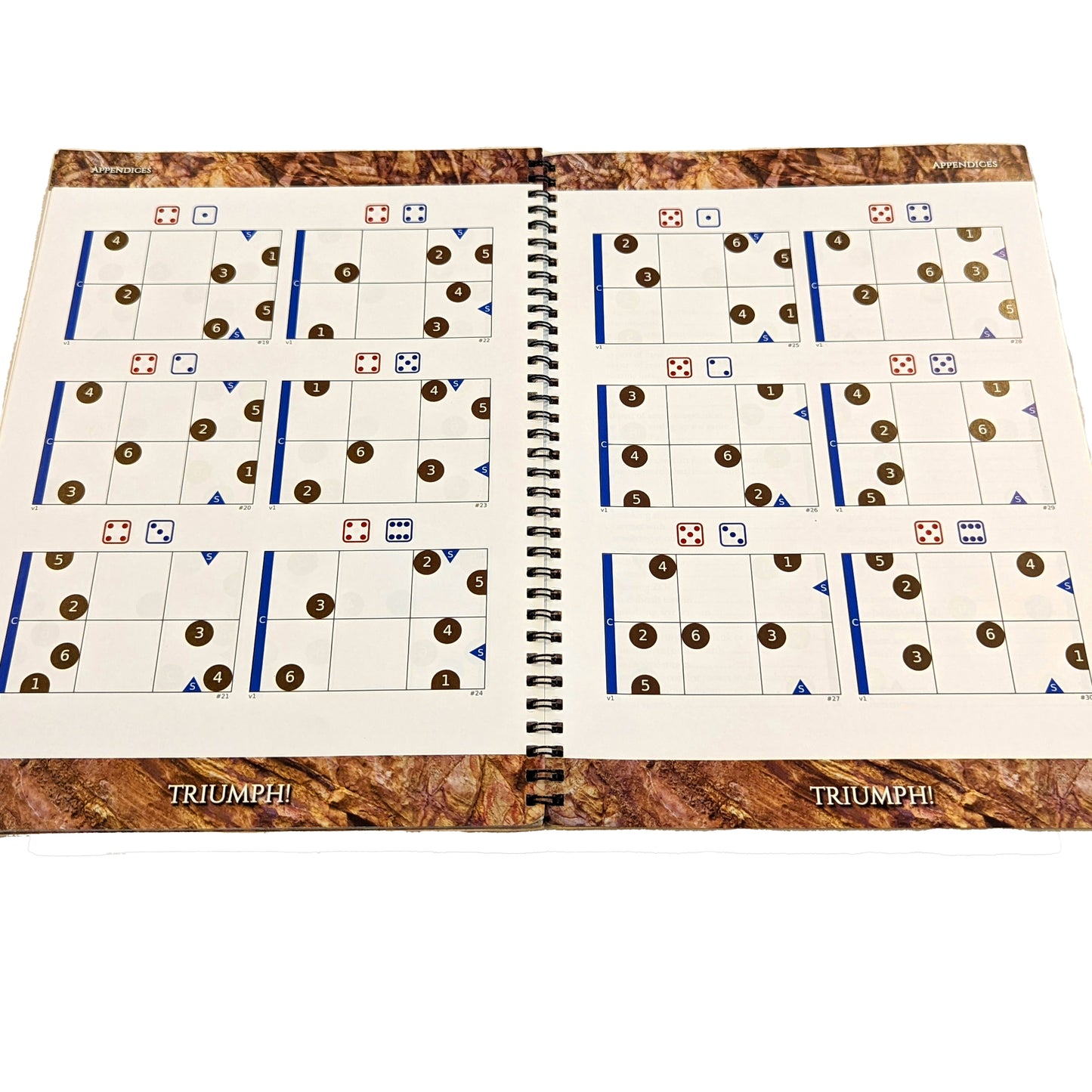 Triumph! Tabletop Wargame Rules - Print Version 1.1