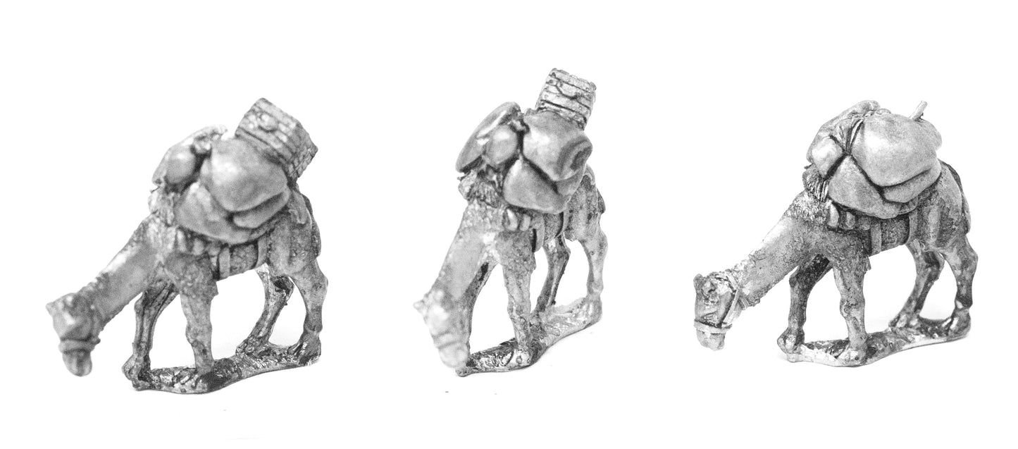 Camps: Three Camels Eating/Drinking TT10